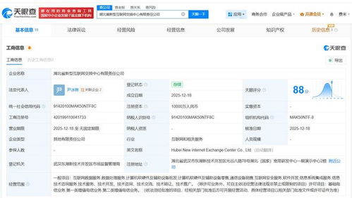 中國電信等企業(yè)在湖北成立新型互聯(lián)網(wǎng)交換中心公司，賦能數(shù)字經(jīng)濟(jì)新生態(tài)